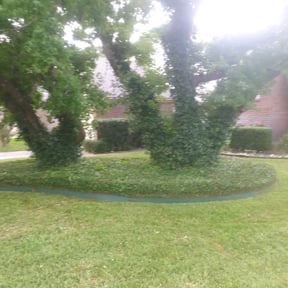 Bush Trimming by Hanhan Lawn Care LLC reviewed on August 16, 2025