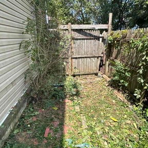 Bush Trimming by Odd.jobz landscaping solution reviewed on October 22, 2025