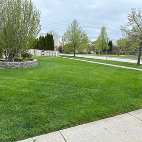 yard service by Ksgconstruction reviewed on August 15, 2025