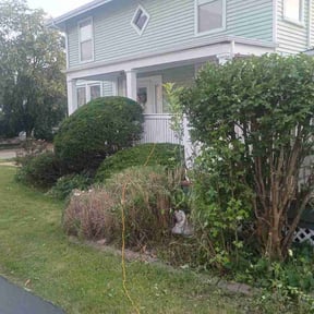 Bush Trimming by Hill and valley landscape and lawn reviewed on June 3, 2026