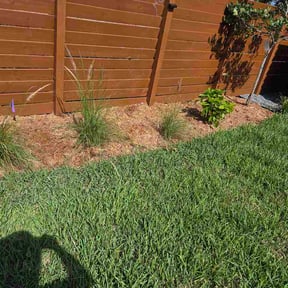 Flower Bed Weeding by Niks lawncare reviewed on June 28, 2026