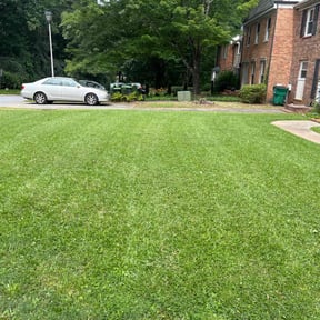 yard maintenance by B.M.P INC reviewed on August 19, 2025