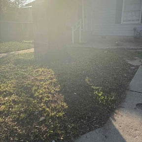 Leaf Removal by Stephen Reynolds reviewed on August 25, 2026