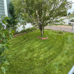 yard service by Willam Bonavida reviewed on August 21, 2025