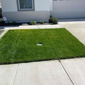 landscape maintenance by Deshun Walker Inc reviewed on August 18, 2025