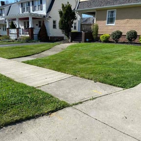 grass maintenance by MEDINA'S LANDSCAPPING reviewed on January 10, 2024