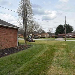 Leaf Removal by ROE LAWN SERVICE reviewed on March 29, 2026