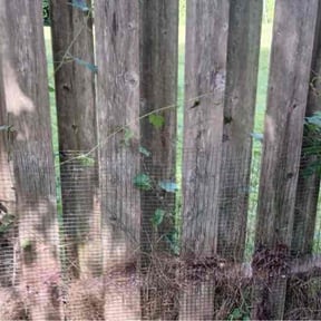 Leaf Removal by StylePro LLC reviewed on August 24, 2026