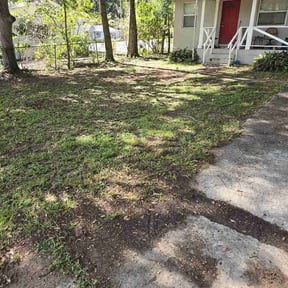 Leaf Removal by Douglas Lawn and Services LLC reviewed on June 25, 2026