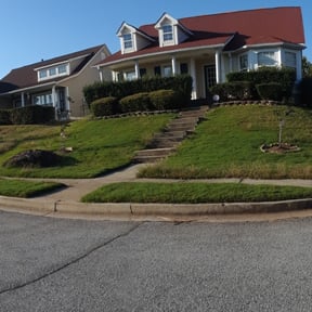 Bush Trimming by AB Flores Landscaping reviewed on August 16, 2025