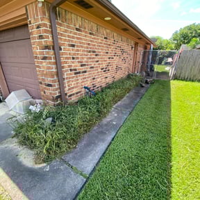 Bush Trimming by Caesar’s Premier Landscaping reviewed on August 21, 2025