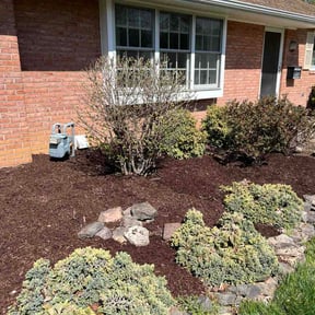 Bush Trimming by Candanoza Lawn Service reviewed on April 29, 2026