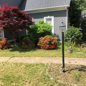 Bush Trimming by Garcia lawn care reviewed on August 18, 2025