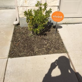 Flower Bed Weeding by Mikes Landscaping reviewed on August 17, 2025