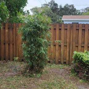 Bush Trimming by MPV Landscaping reviewed on August 18, 2025