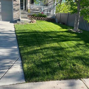 grass maintenance by Green Earth Lawn and snow LLC reviewed on August 17, 2025