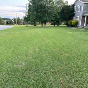 landscaping by J&J Mowing reviewed on August 21, 2025