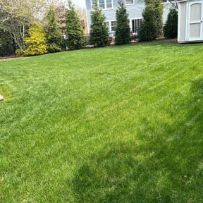 landscaping by KGL kick grass lawn service reviewed on August 16, 2025
