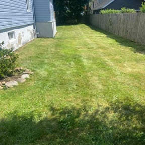 lawn care by Dwayne Browne LLC reviewed on July 26, 2025