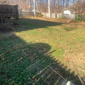 Leaf Removal by Pauls lawn cuts and more reviewed on December 25, 2025