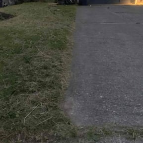 lawn service by Green coqui lawn services reviewed on February 1, 2024