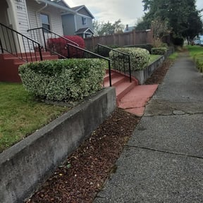 Bush Trimming by Parker's Lawn Care reviewed on August 20, 2025