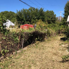 Bush Trimming by BLC3 LLC / Turf Guys reviewed on August 18, 2025