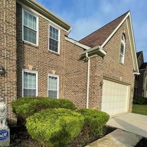 Bush Trimming by Ground effects reviewed on August 17, 2025