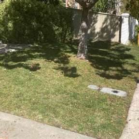 grass maintenance by Nick’s lawn service reviewed on April 26, 2025