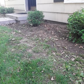 Bush Trimming by Exclusive Lawn Service reviewed on August 18, 2025