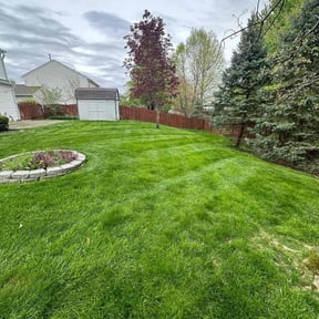 gardening service by Green Cutters reviewed on August 17, 2025