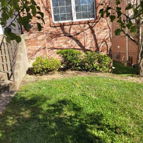 Bush Trimming by Cornerstone landscape &amp; design reviewed on November 10, 2025