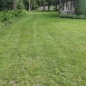 residential landscaping by Finns landscaping reviewed on August 21, 2025