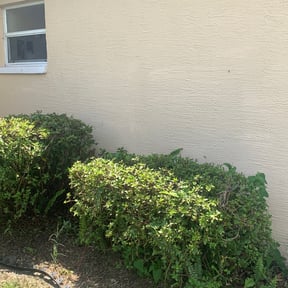 Bush Trimming by Jose&Jose Landscaping reviewed on August 15, 2025