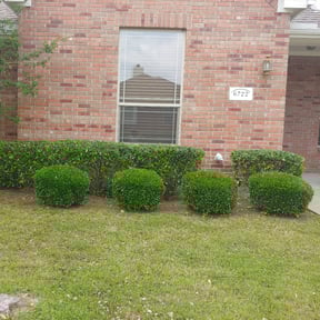 Bush Trimming by Juan's Lawn Care reviewed on August 17, 2025