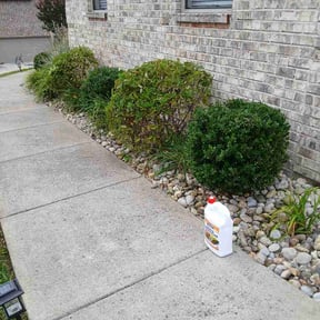 Flower Bed Weeding by Babylawn reviewed on July 2, 2026