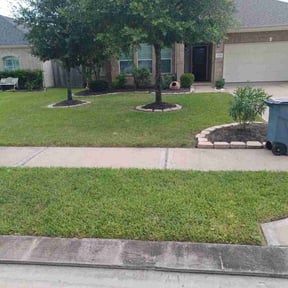 yard service by ALC Lawncare Services L.L.C reviewed on December 24, 2025