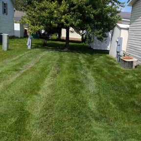 turf care by Plant Your Dreams Design reviewed on August 21, 2025