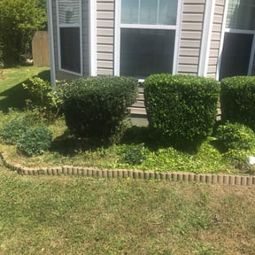 Bush Trimming by Full throttle lawn care reviewed on August 17, 2025