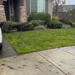 Bush Trimming by Goerke&#039;s Lawn Care reviewed on November 24, 2025