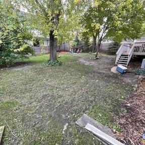 Leaf Removal by A Cut Above Lawn Care Service reviewed on October 18, 2025