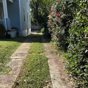 Bush Trimming by Inside and out landscaping and services reviewed on December 13, 2025