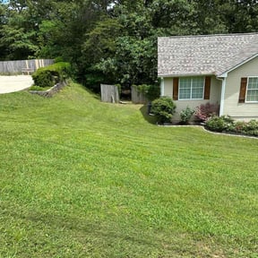 landscaping services by Lawn care &amp;Plow reviewed on October 22, 2025