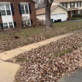 Leaf Removal by Mahoney‘s lawn care services reviewed on December 9, 2025