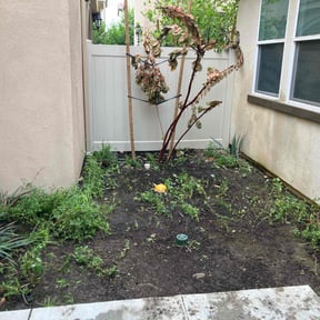 Bush Trimming by Teacher by Trade; Mower by Summer reviewed on November 21, 2025