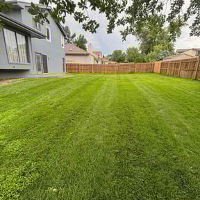 turf care by Gary Evans Lawn and Tree Service reviewed on August 19, 2025