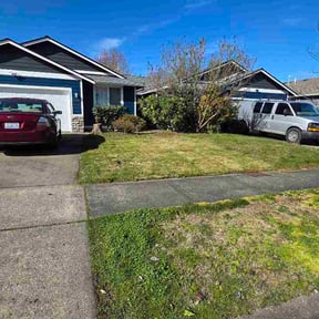 Bush Trimming by Sergio Beltran reviewed on March 3, 2026