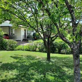 Bush Trimming by Cobbs Construction, LLC reviewed on August 21, 2025