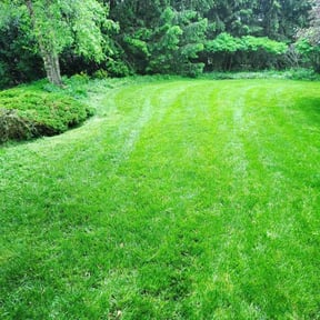 residential landscaping by Jennifer Butler reviewed on August 15, 2025