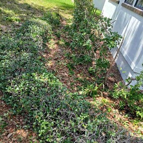 lawn service by BRIGHT CIRCLE SERVICES LLC reviewed on May 16, 2024